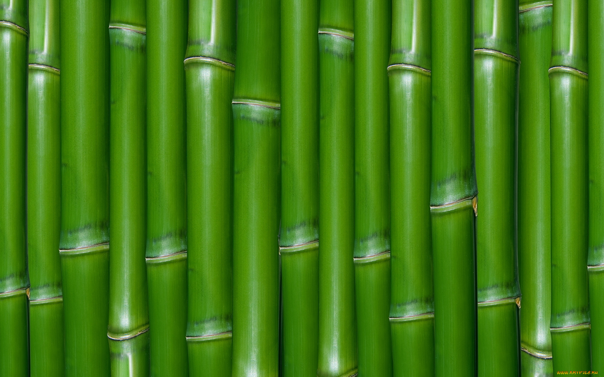 , , , , 
